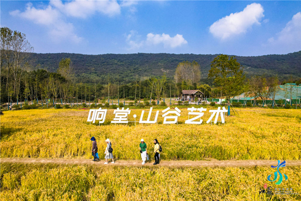 水韵江苏中外摄影师镜头下的江苏美丽乡村