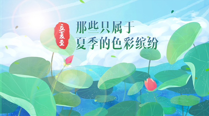 立夏至,那些只属于夏季的色彩缤纷